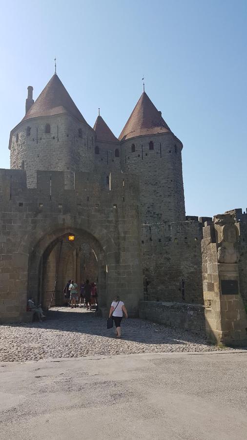 Maison Vue Cite 2 Каркассонн Екстер'єр фото